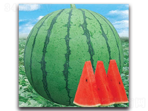 �t�P��-���ϷN��-����N�I(y��)