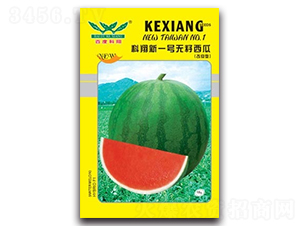 ������һ̖-���ϷN��-����N�I(y��)