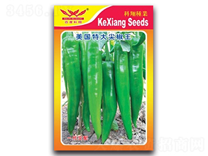 ����(gu��)�ش�⽷��-�����N��-����N�I(y��)