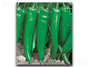 ��������7̖(h��o)-�����N��-����N�I(y��)