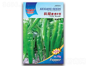 ��������6̖(h��o)-�����N��-����N�I(y��)