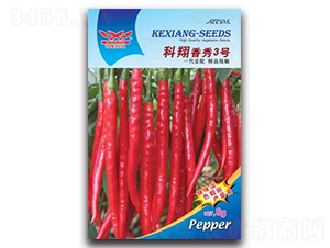 ��������3̖(h��o)-�����N��-����N�I(y��)