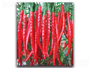 ��������1̖(h��o)-�����N��-����N�I(y��)