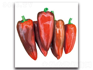 �ݽ�295-�����N��-����N�I(y��)