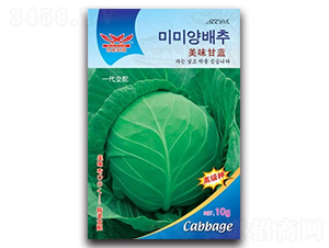 ��ζ���{-���{�N��-����N�I(y��)