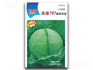 δ��797-���{�N��-����N�I(y��)