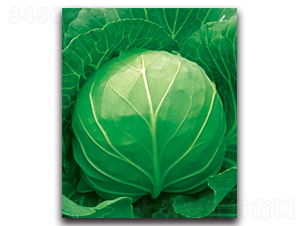 δ��(l��i)055���{(l��n)-���{(l��n)�N��-����N�I(y��)