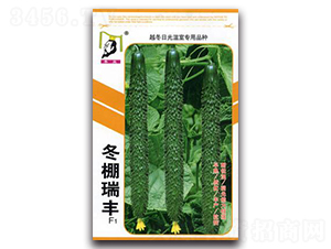 �������SF1-�S�ϷN��-�ػ�