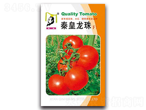 �ػ�����F1-���ѷN��-�ػ�