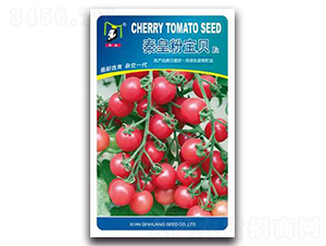 �ػʷی�ؐF1-���ѷN��-�ػ�