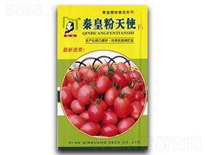 �ػʷ���ʹF1-���ѷN��-�ػ�