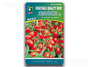 �ػʴ���tF1-���ѷN��-�ػ�