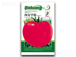 �������F1-���ѷN��-�ػ�