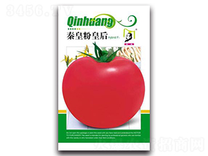 �ػʷۻʺ�F1-���ѷN��-�ػ�