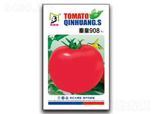 �ػ�908F1-���ѷN��-�ػ�