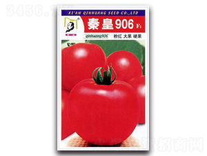 �ػ�906F1-���ѷN��-�ػ�