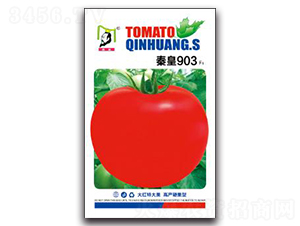 �ػ�903F1-���ѷN��-�ػ�