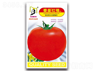 �ػʼt��F1-���ѷN��-�ػ�