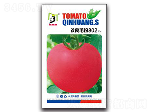 ����ë��802F1-���ѷN��-�ػ�