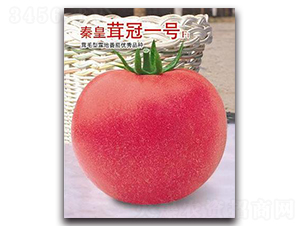 �ػ��׹�һ̖F1-���ѷN��-�ػ�