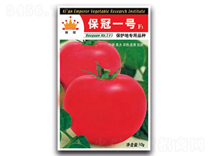 ����һ̖F1-���ѷN��-�ػ�