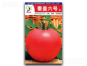 �ػ���̖F1-���ѷN��-�ػ�