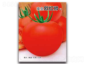 �ػʚW�t��F1-���ѷN��-�ػ�