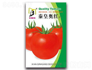 �ػʊW�tF1-���ѷN��-�ػ�