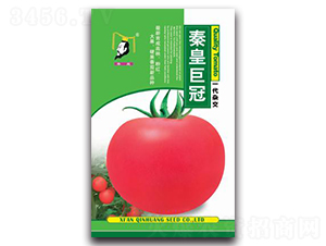 �ػʾ޹�-���ѷN��-�ػ�