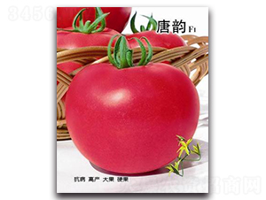 ���F1-���ѷN��-�ػ�