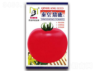 �ػʶ�ʢF1-���ѷN��-�ػ�