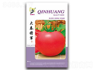 ���،�܊F1-���ѷN��-�ػ�