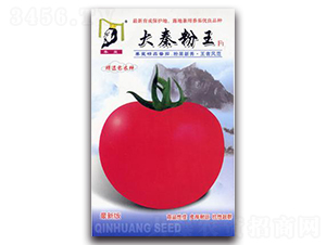 ���ط���F1-���ѷN��-�ػ�