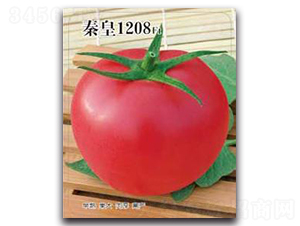 �ػ�1208F1-���ѷN��-�ػ�