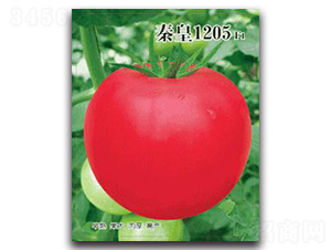 �ػ�1205F1-���ѷN��-�ػ�