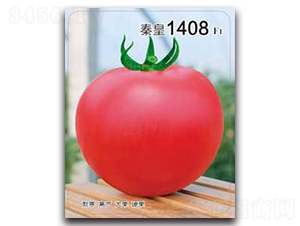 �ػ�1408F1-���ѷN��-�ػ�