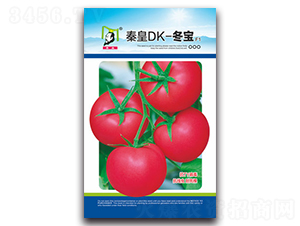 �ػ�DK-����F1-���ѷN��-�ػ�