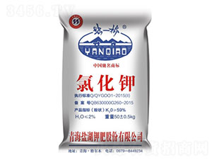 �Ȼ��-����R��