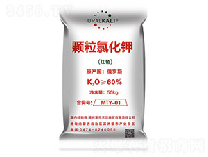 �w���Ȼ��-����R��