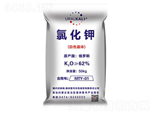 �Ȼ�⛣���ɫ���w��-����R��