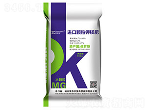 �M(j��n)�ڴ��w����V��-������-����R��