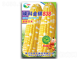 �ӿƽ��y838-���׷N��-�ӿƷN�I(y��)