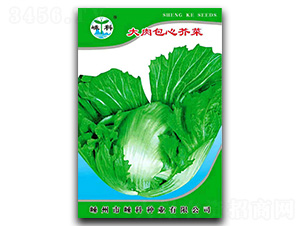 �������Ľ��-��˷N��-�ӿƷN�I(y��)