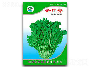 ��z��-��˷N��-�ӿƷN�I(y��)