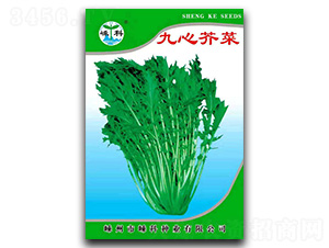 ���Ľ��-��˷N��-�ӿƷN�I(y��)