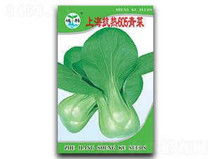 �Ϻ�����605���-��˷N��-�ӿƷN�I(y��)