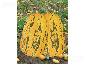 ����707-�ϹϷN��-����