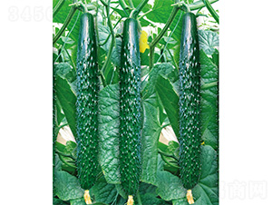 ��DV-26-�S�ϷN��-����