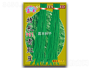 ���L(zh��ng)901������-�����N��-���S�N��