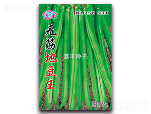 �o��ض���-�ض��N��-���S�N��